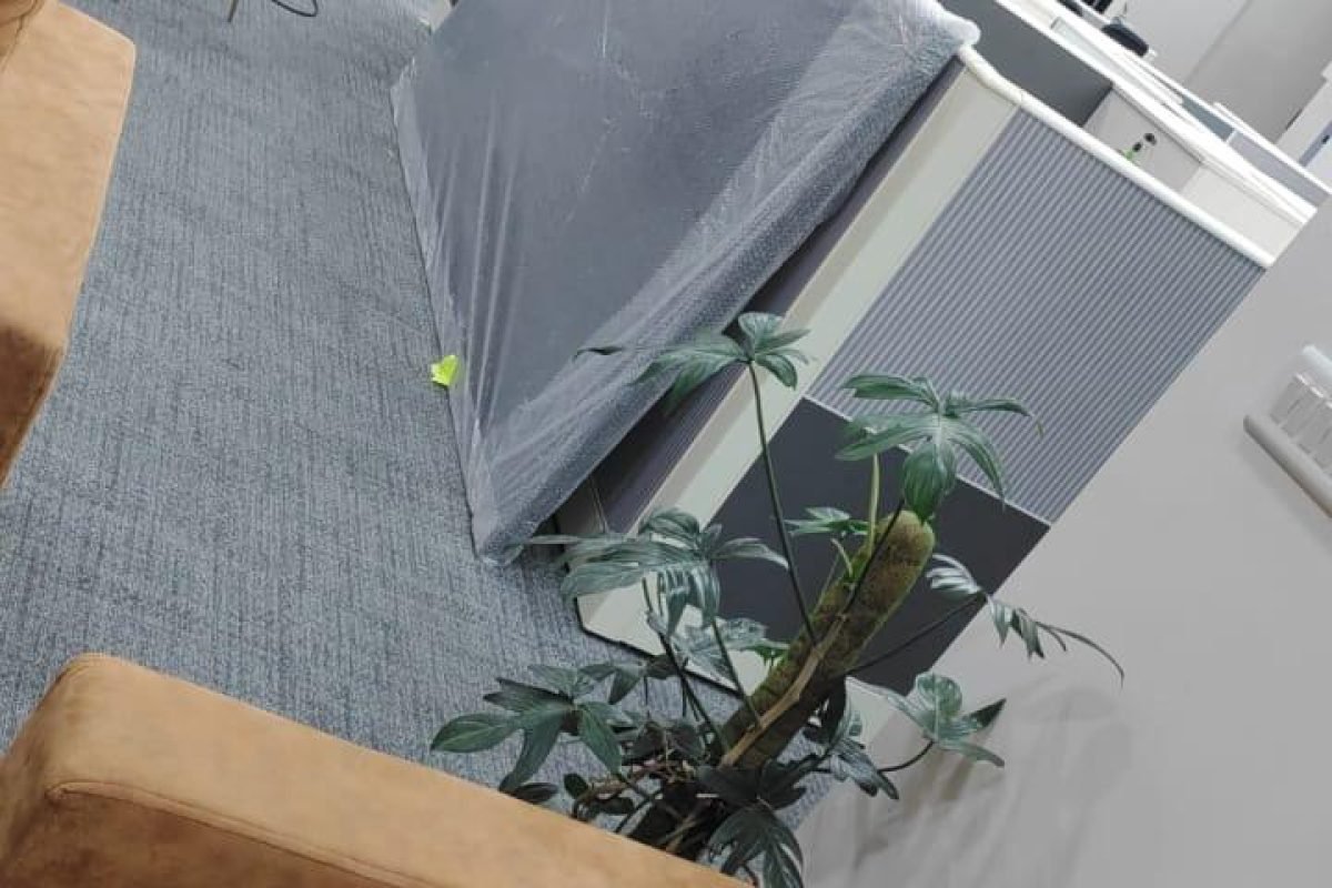 WhatsApp Image 2025-09-16 at 11.09.58 AM (1)